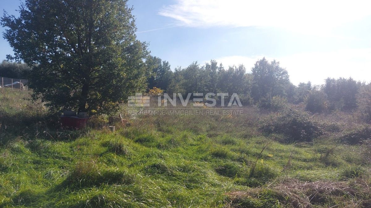 Terreno agricolo lottizzato