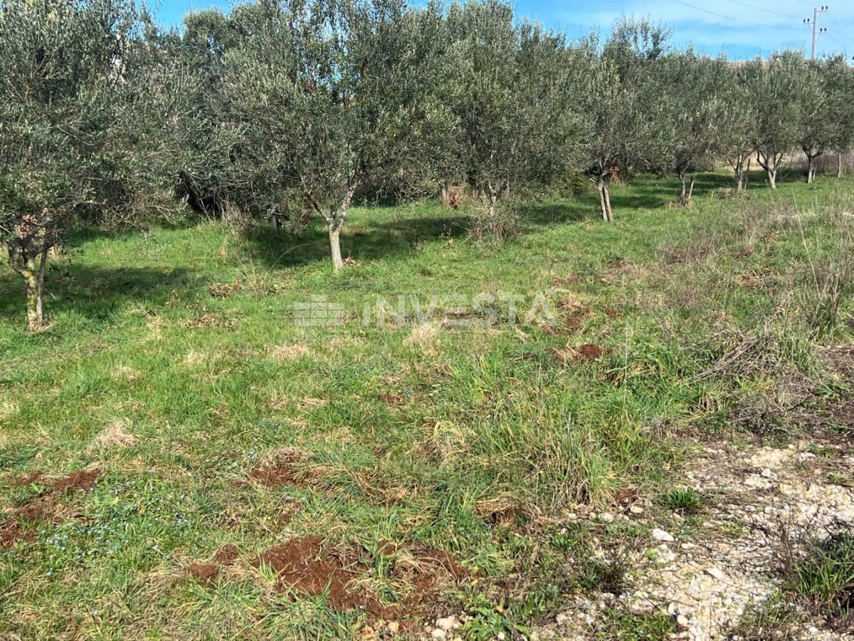 Terreno edificabile, posizione tranquilla per la vostra nuova casa