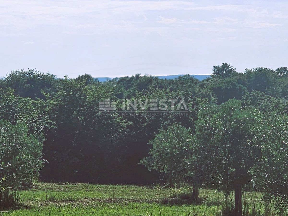 Opportunità di investimento nel sud dell'Istria – business e edonismo