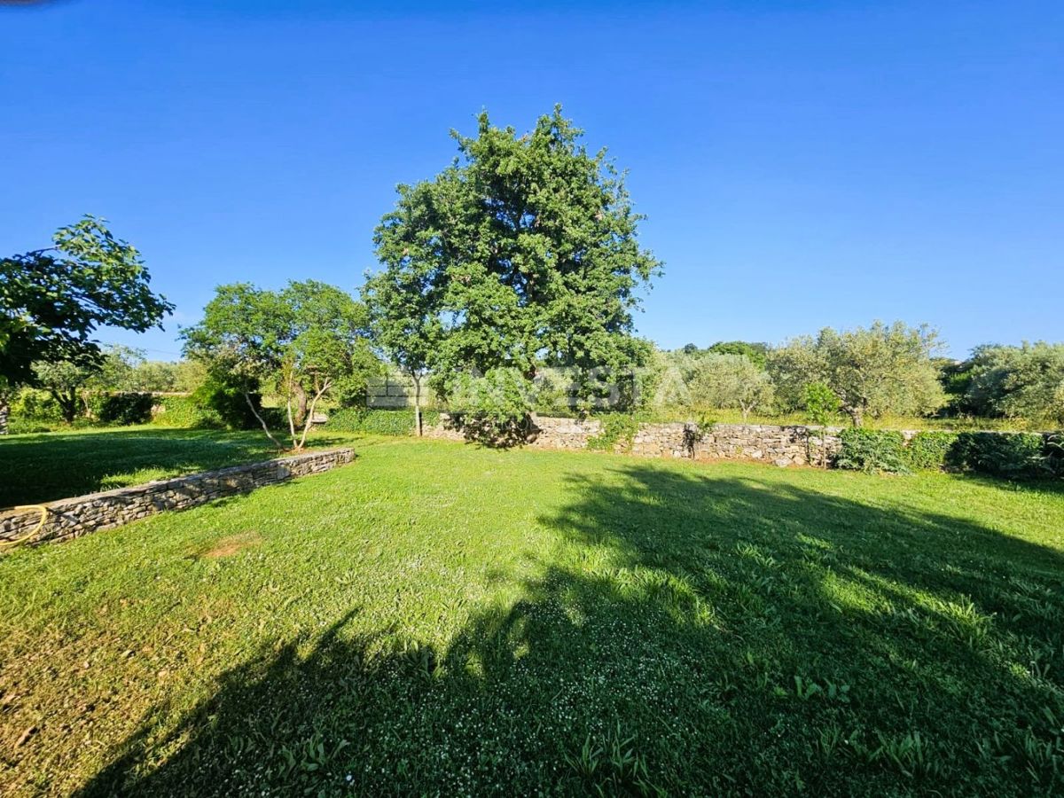 Opportunità di investimento nel sud dell'Istria – business e edonismo