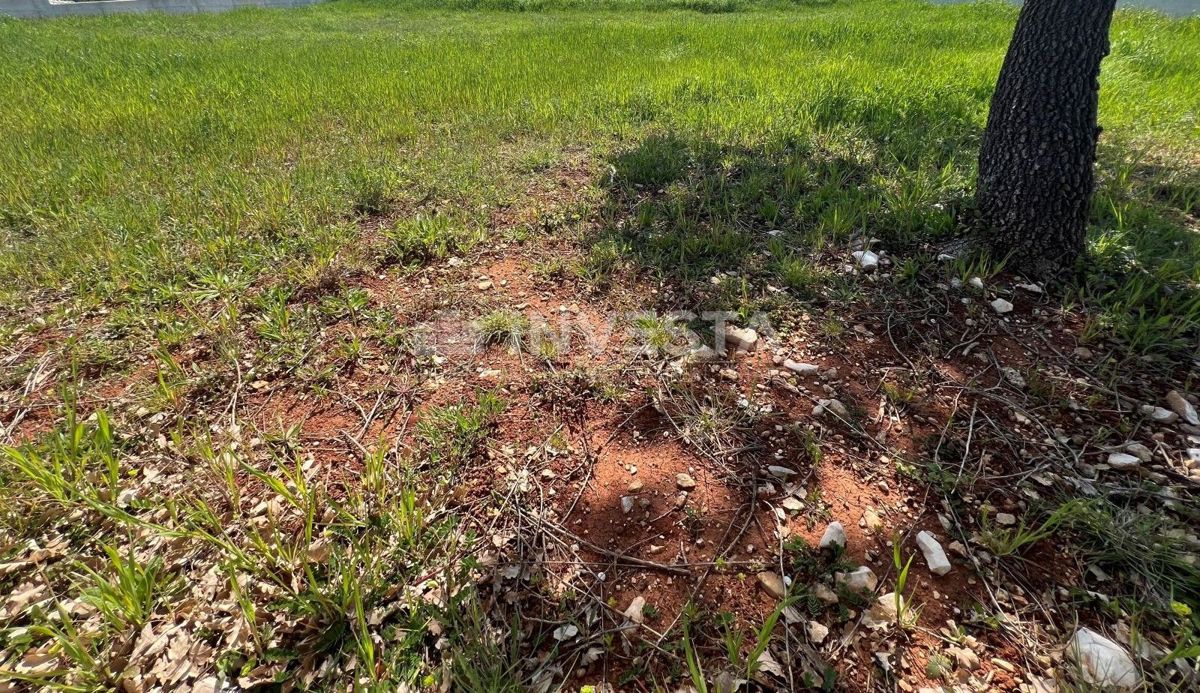 Vodnjan, Galižana, Terreno edificabile, 1000m²