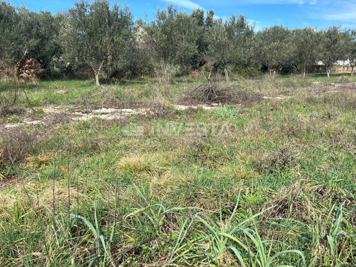 Terreno edificabile in una zona tranquilla e ambita