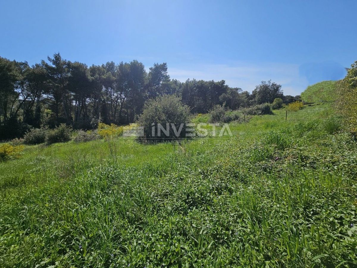 Pola - attraenti terreni edificabili a 200 metri dal mare