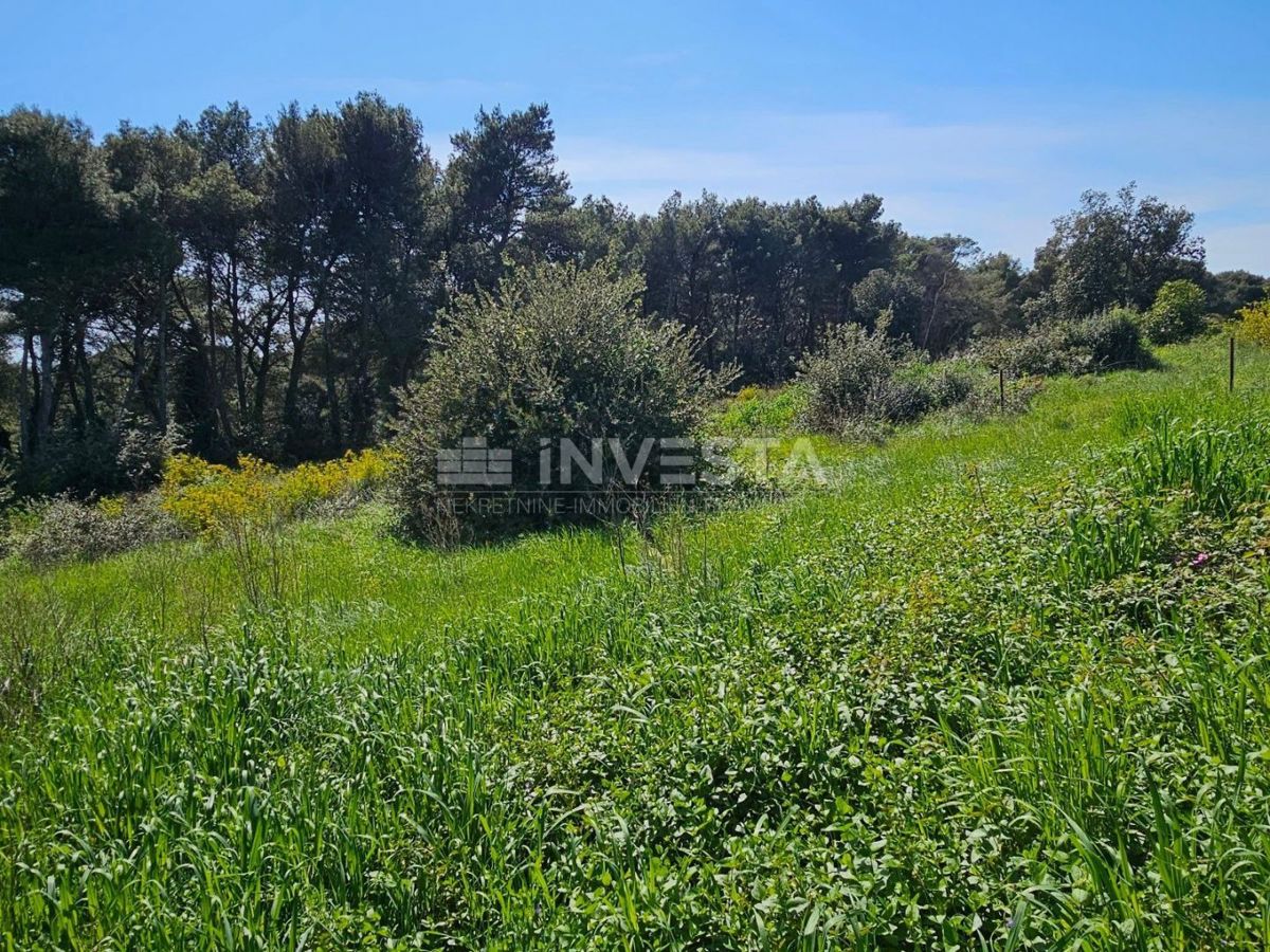Pola - attraenti terreni edificabili a 200 metri dal mare