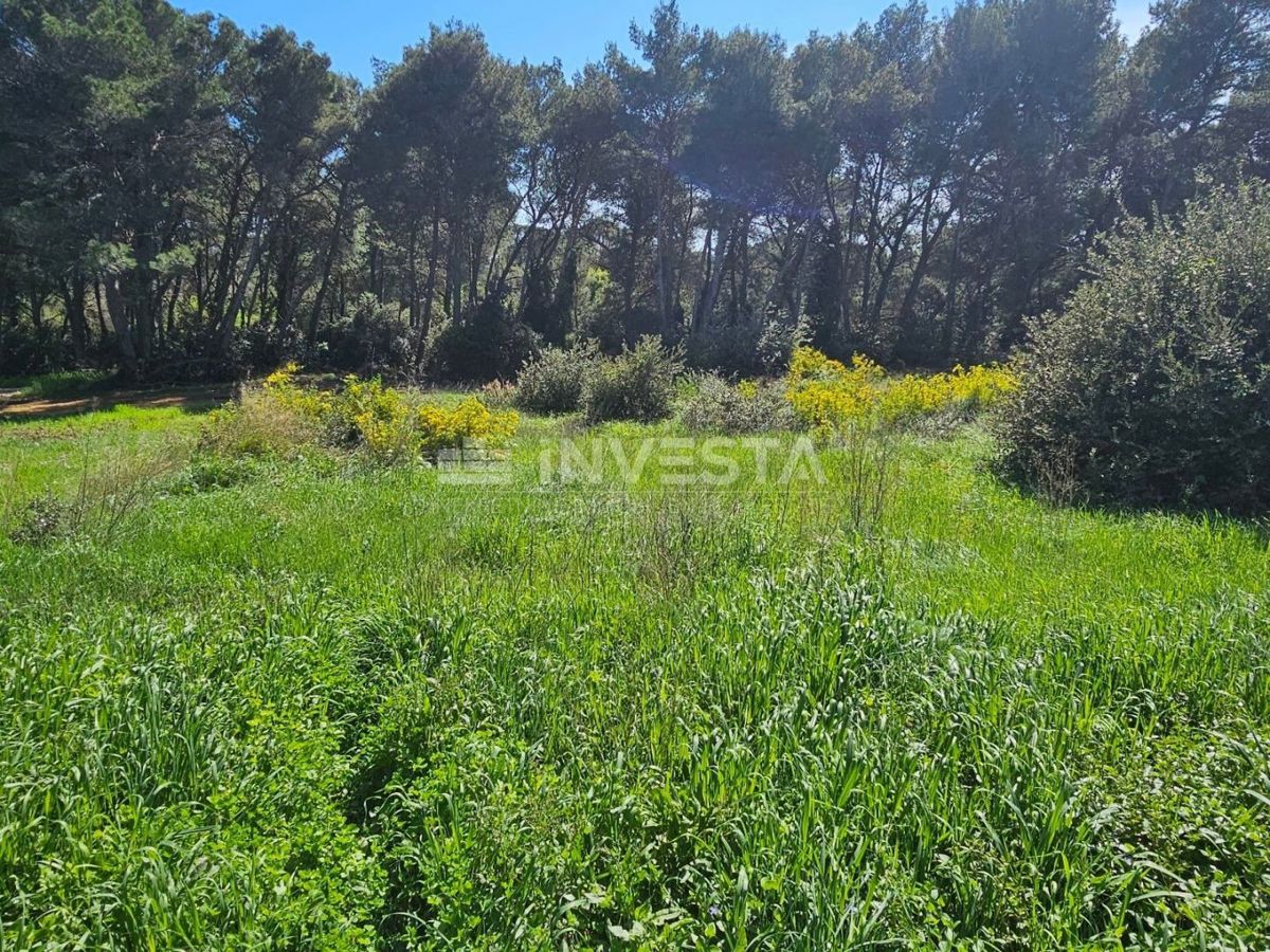 Pola - attraenti terreni edificabili a 200 metri dal mare