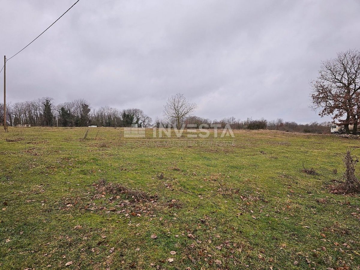 Gimino, ampio terreno edificabile-agricolo, 15.258 m2
