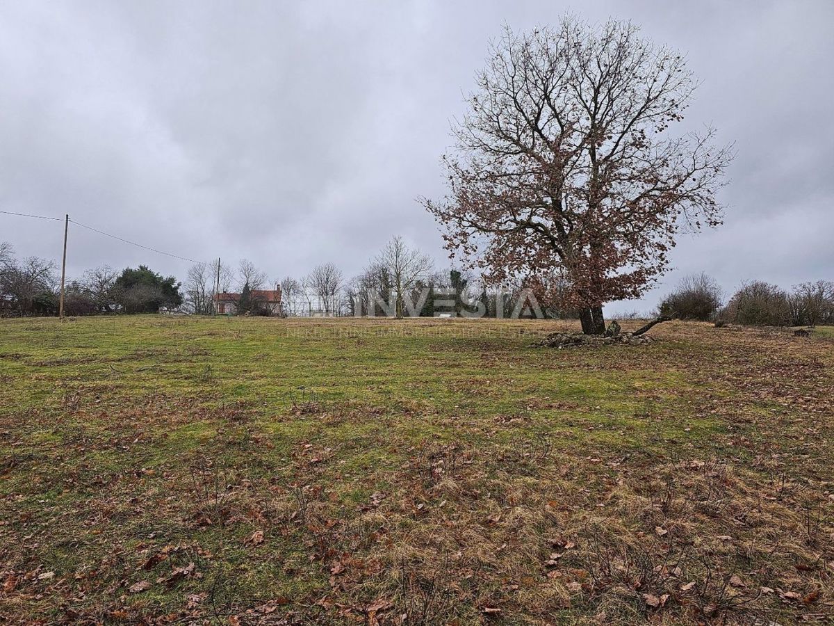 Gimino, ampio terreno edificabile-agricolo, 15.258 m2