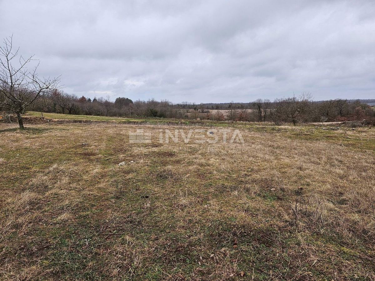 Gimino, ampio terreno edificabile-agricolo, 15.258 m2
