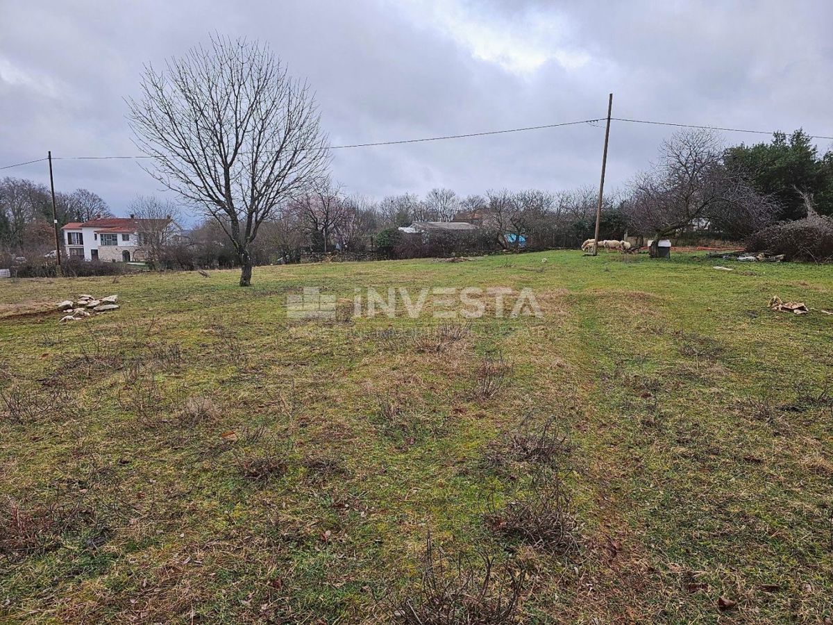 Gimino, ampio terreno edificabile-agricolo, 15.258 m2