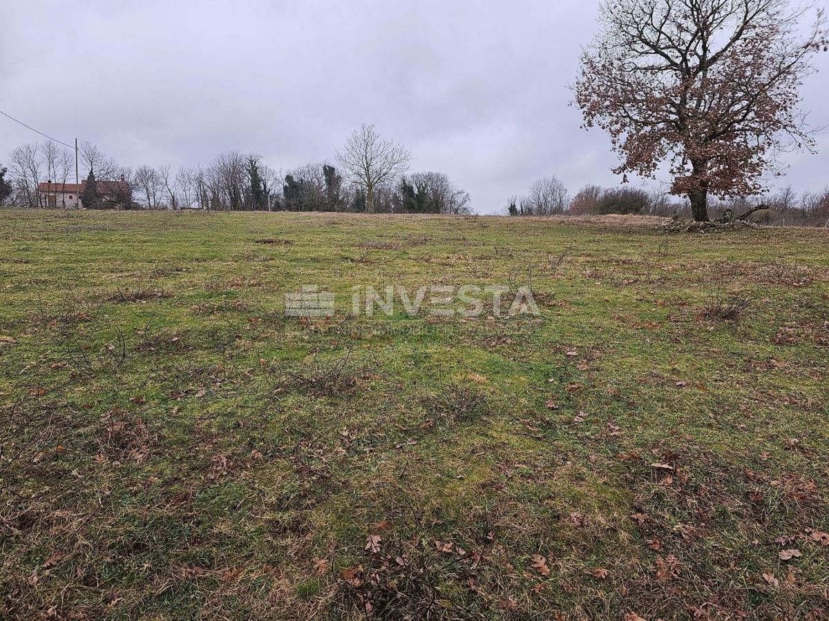 Gimino, ampio terreno edificabile-agricolo, 15.258 m2