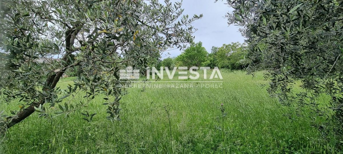 Parenzo, Kaštelir, terreno edificabile di 851 m2