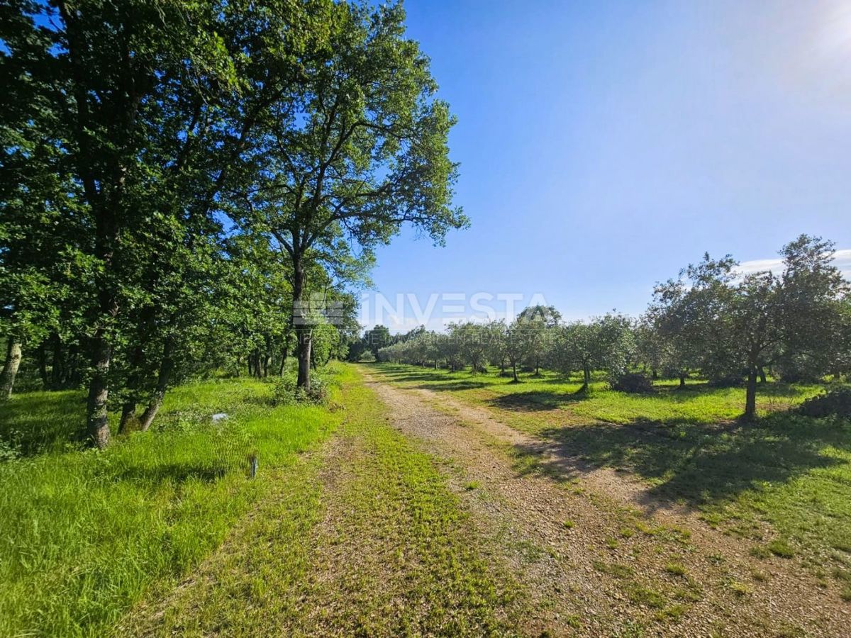 Opportunità di investimento nel sud dell'Istria – Progetto turistico-agricolo