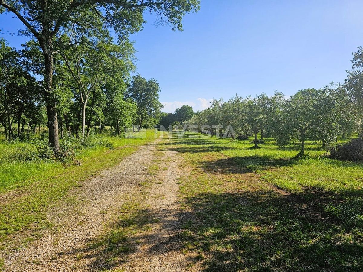 Opportunità di investimento nel sud dell'Istria – Progetto turistico-agricolo