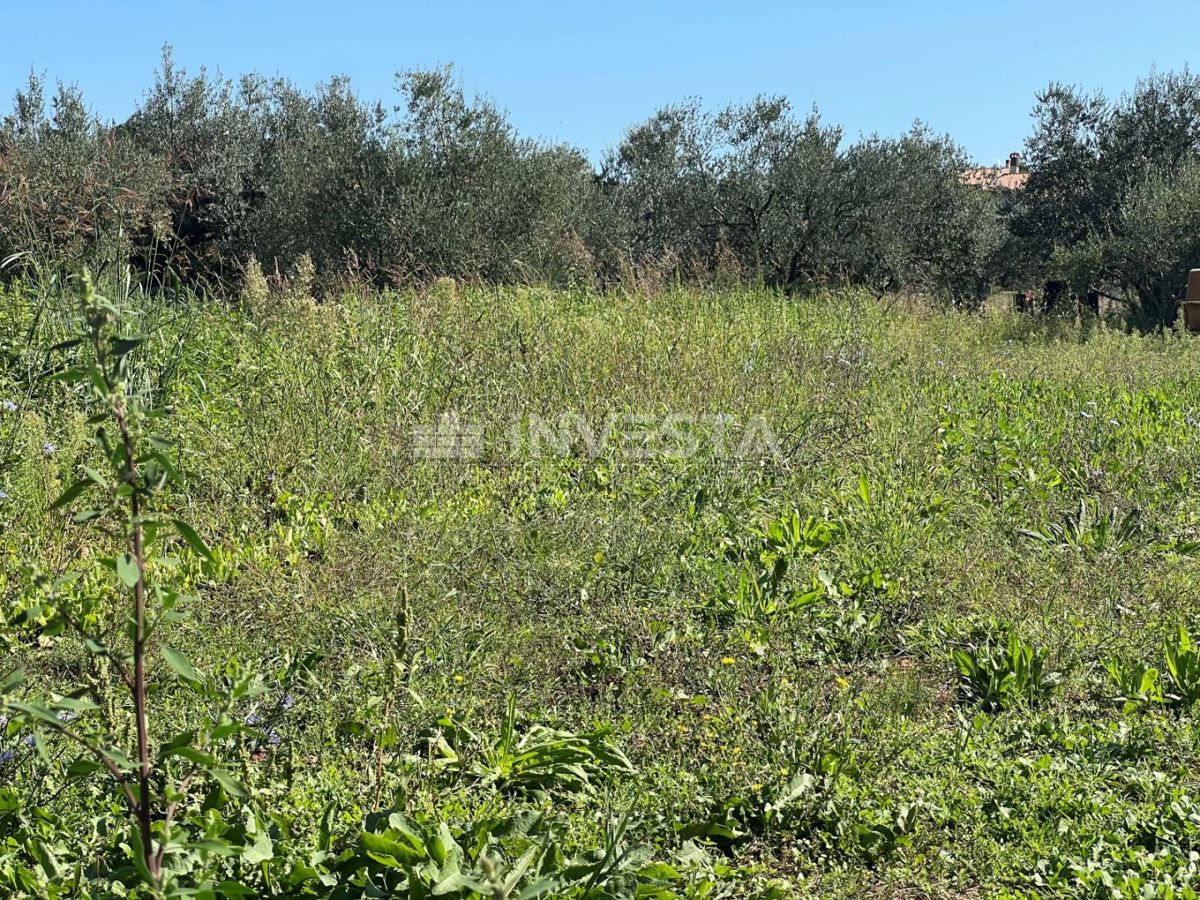 Pola, Terreno edificabile di 1260 m²