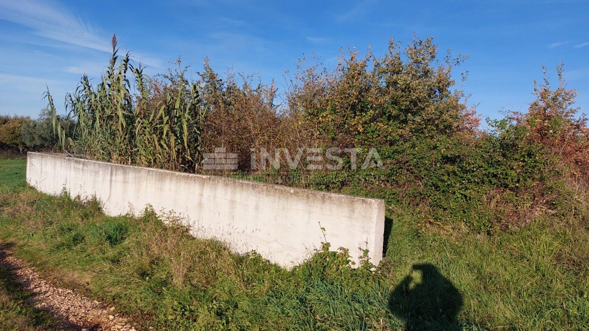 Terreno edificabile a Tar