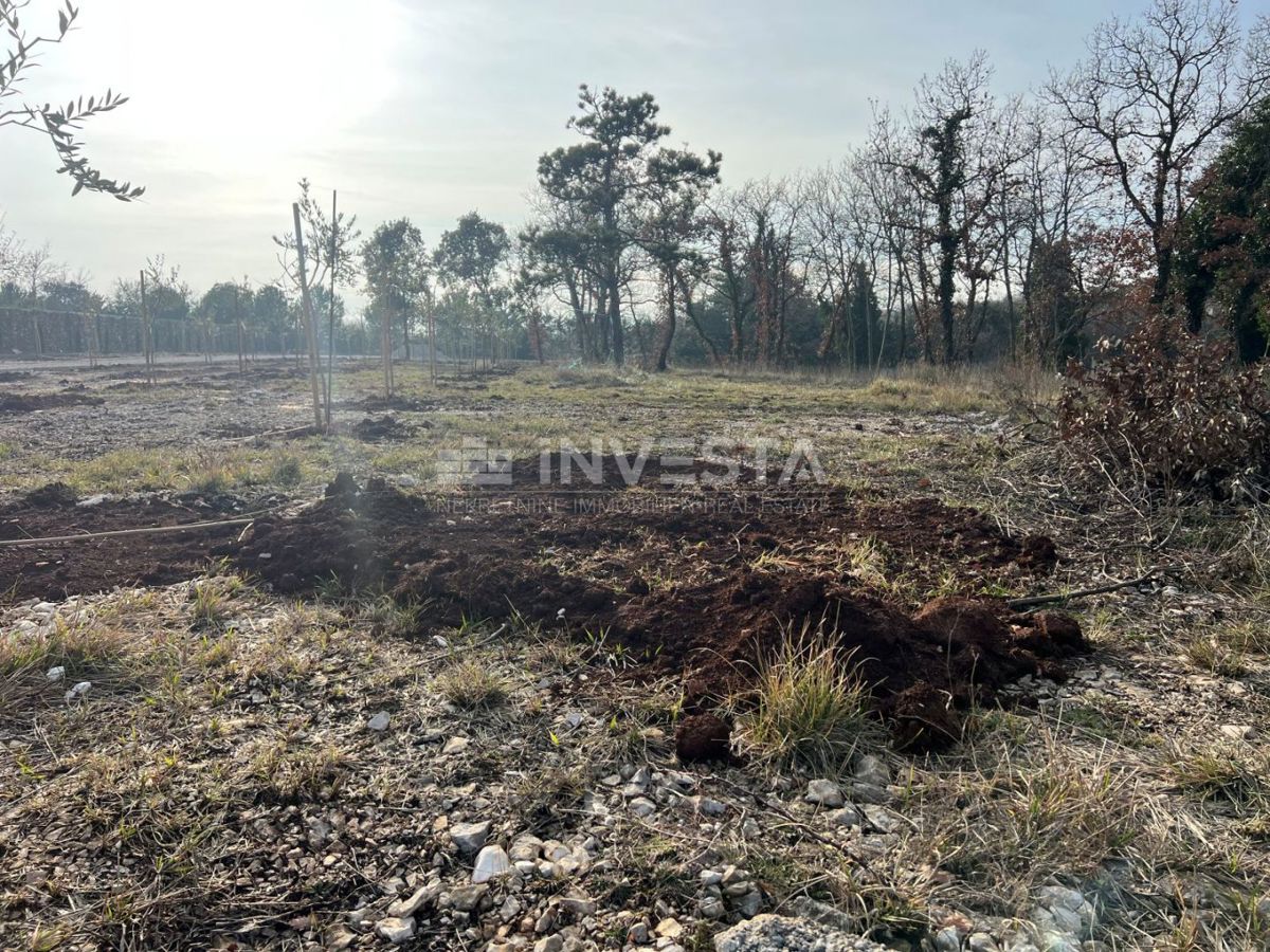 Terreno edificabile di 1080 m²