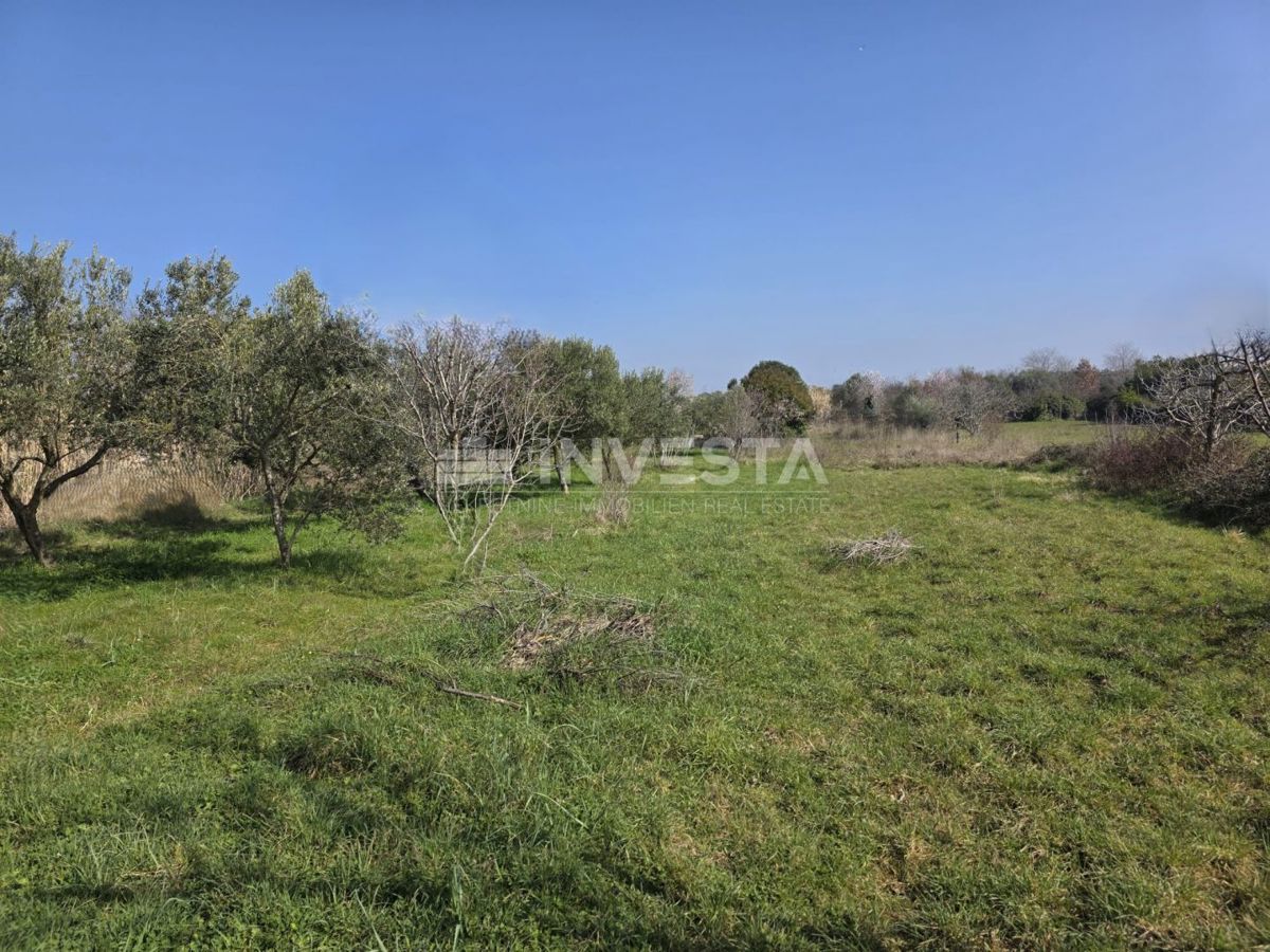 Fazana, terreno edificabile 2.580 m² vicino alla spiaggia