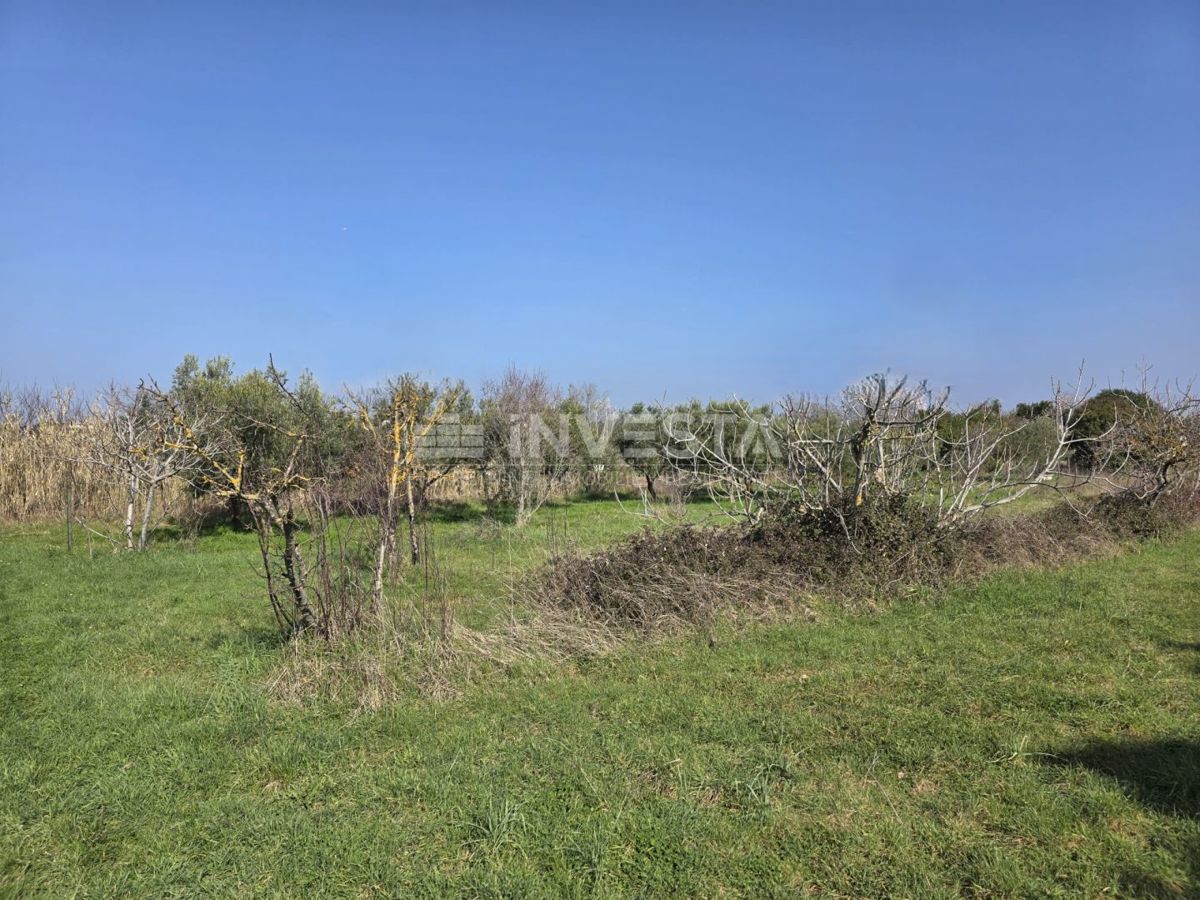 Fazana, terreno edificabile 2.580 m² vicino alla spiaggia