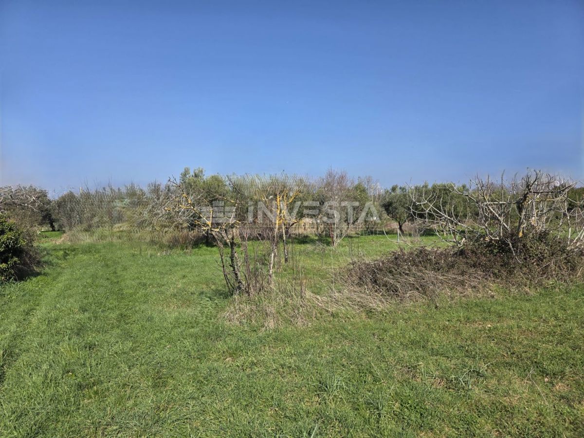 Fazana, terreno edificabile 2.580 m² vicino alla spiaggia