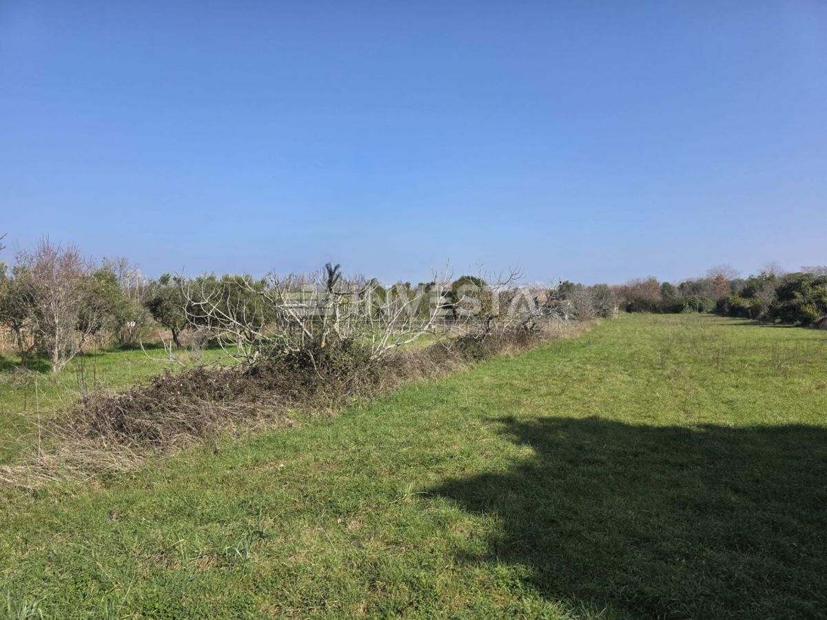 Fazana, terreno edificabile 2.580 m² vicino alla spiaggia