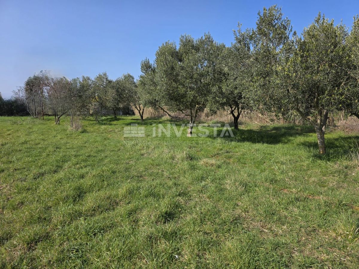 Fazana, terreno edificabile 2.580 m² vicino alla spiaggia