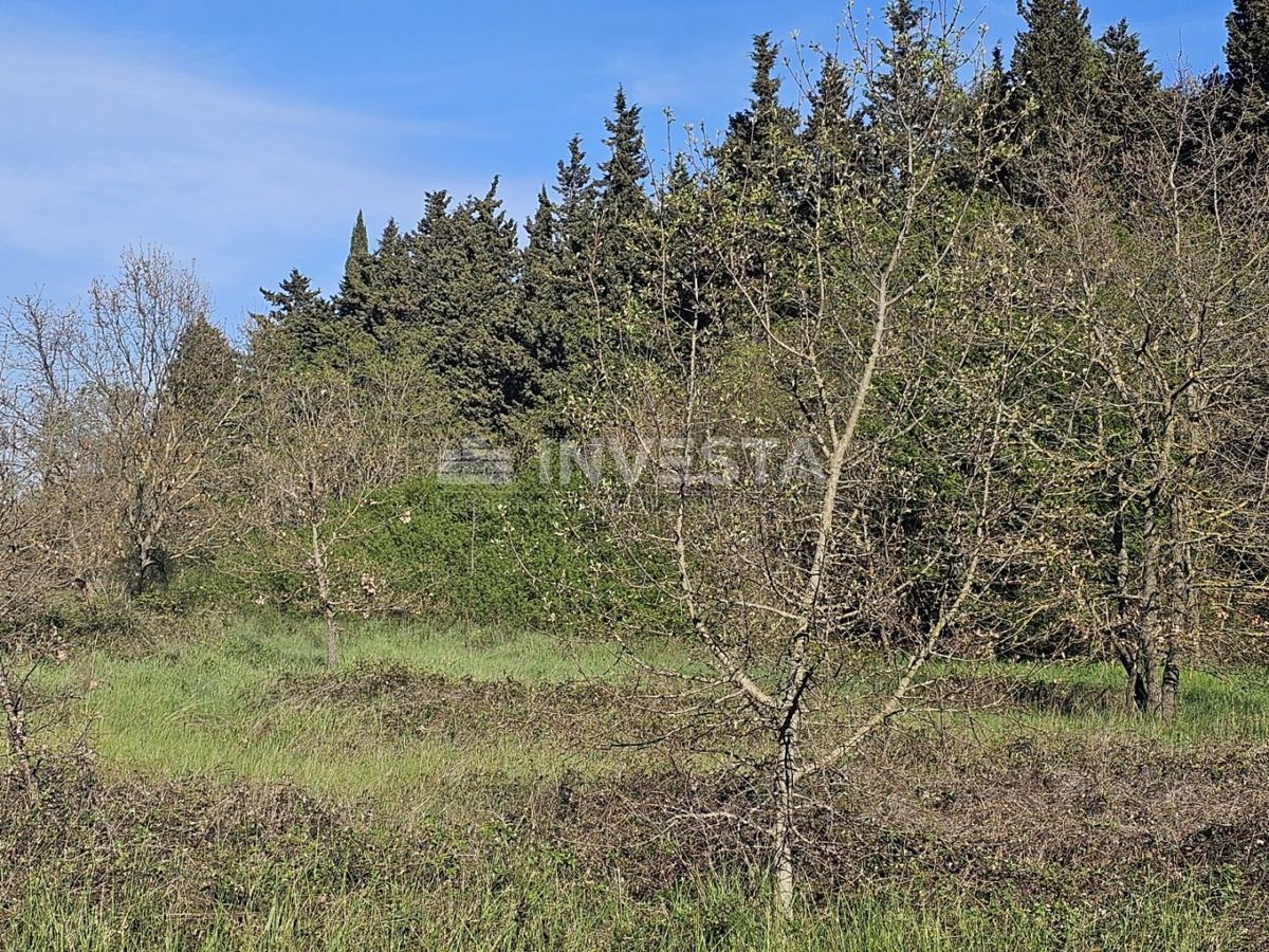 Area di Pula - 14.000 m² di terreno edificabile nella zona industriale