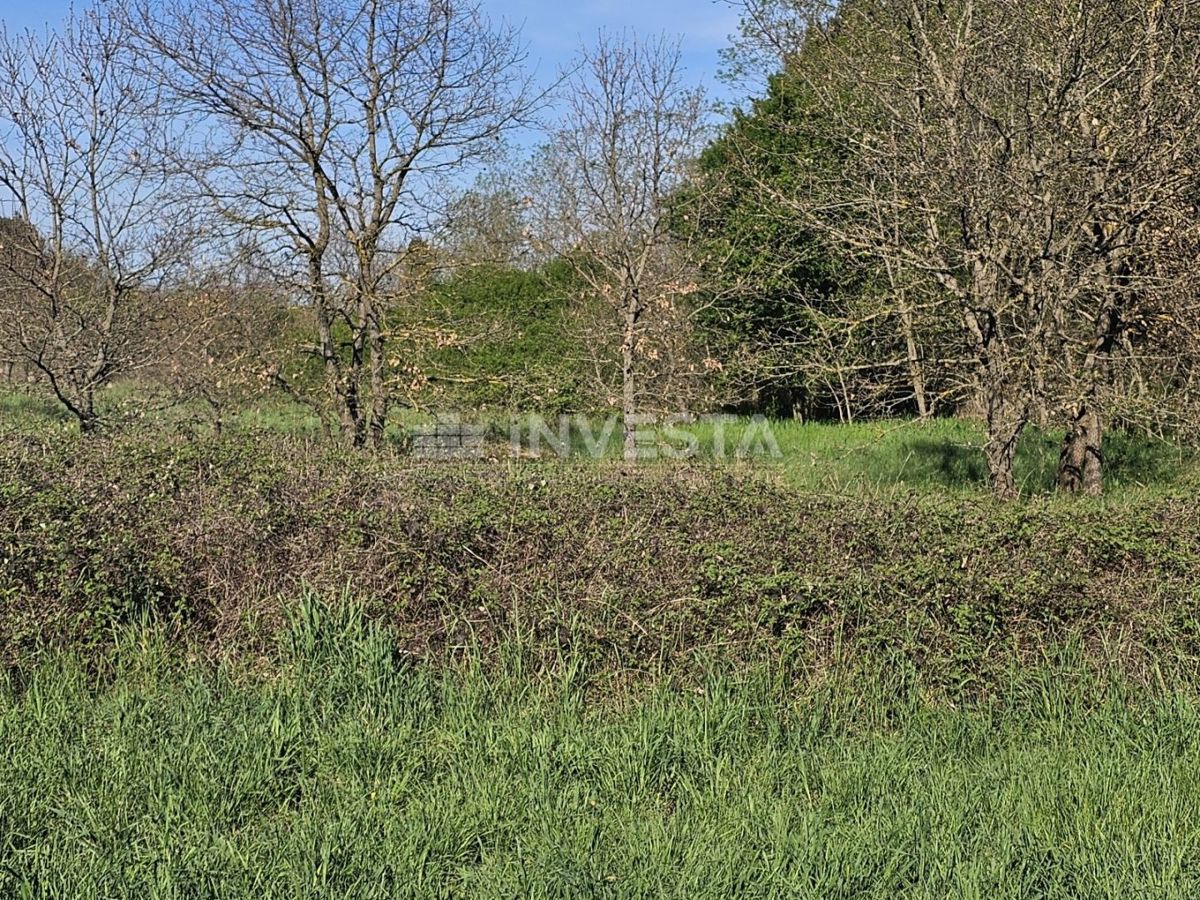 Area di Pula - 14.000 m² di terreno edificabile nella zona industriale