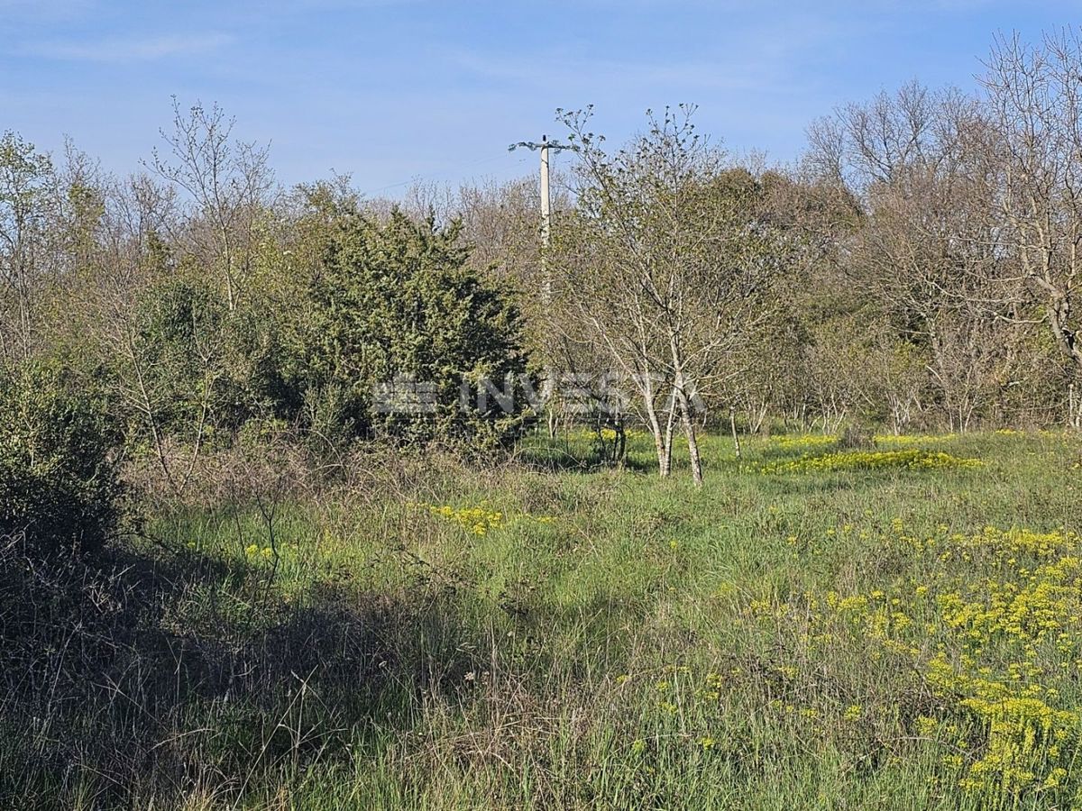 Area di Pula - 14.000 m² di terreno edificabile nella zona industriale