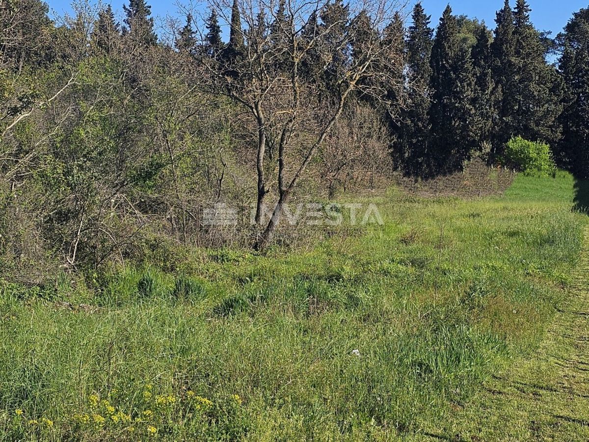 Area di Pula - 14.000 m² di terreno edificabile nella zona industriale