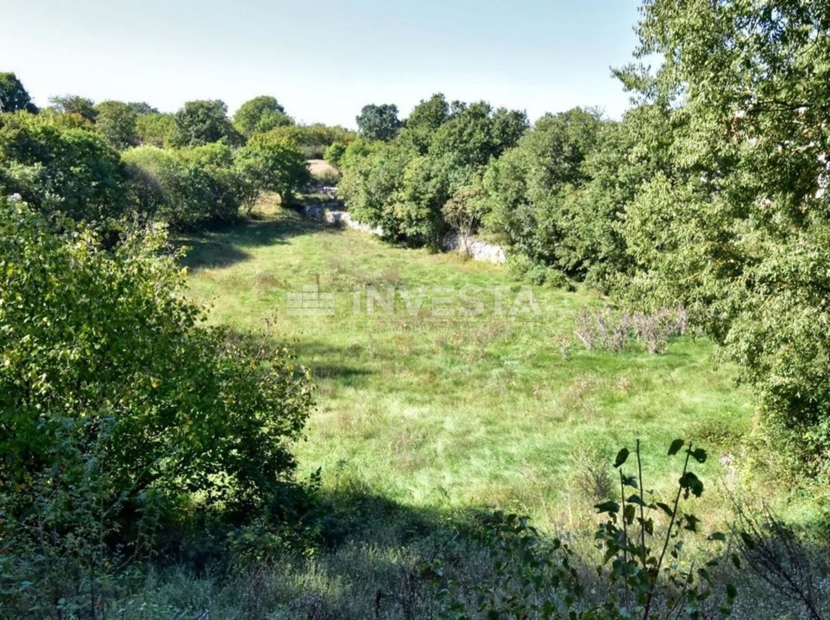 OPPORTUNITÀ!!! Ampio terreno edificabile nelle vicinanze di Dignano