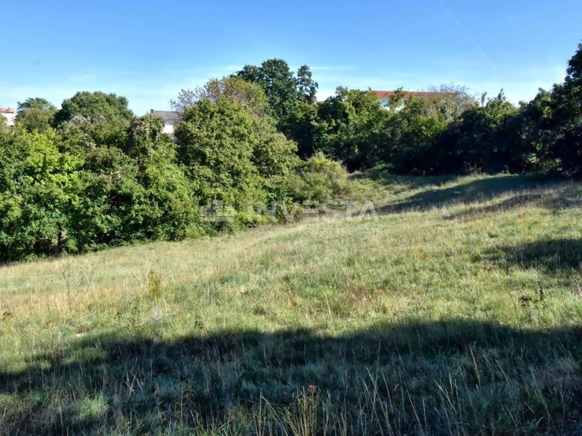 OPPORTUNITÀ!!! Ampio terreno edificabile nelle vicinanze di Dignano