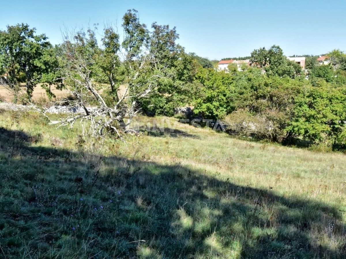 OPPORTUNITÀ!!! Ampio terreno edificabile nelle vicinanze di Dignano