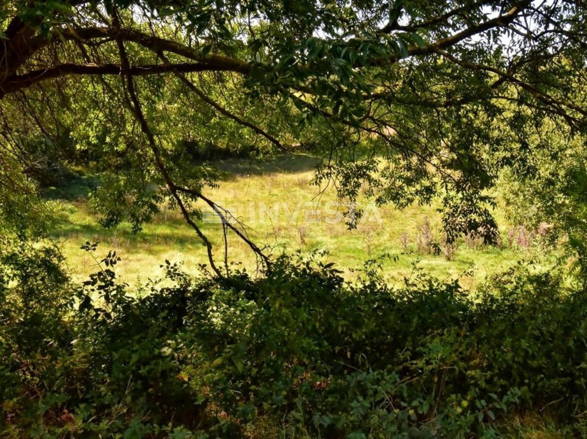 OPPORTUNITÀ!!! Ampio terreno edificabile nelle vicinanze di Dignano