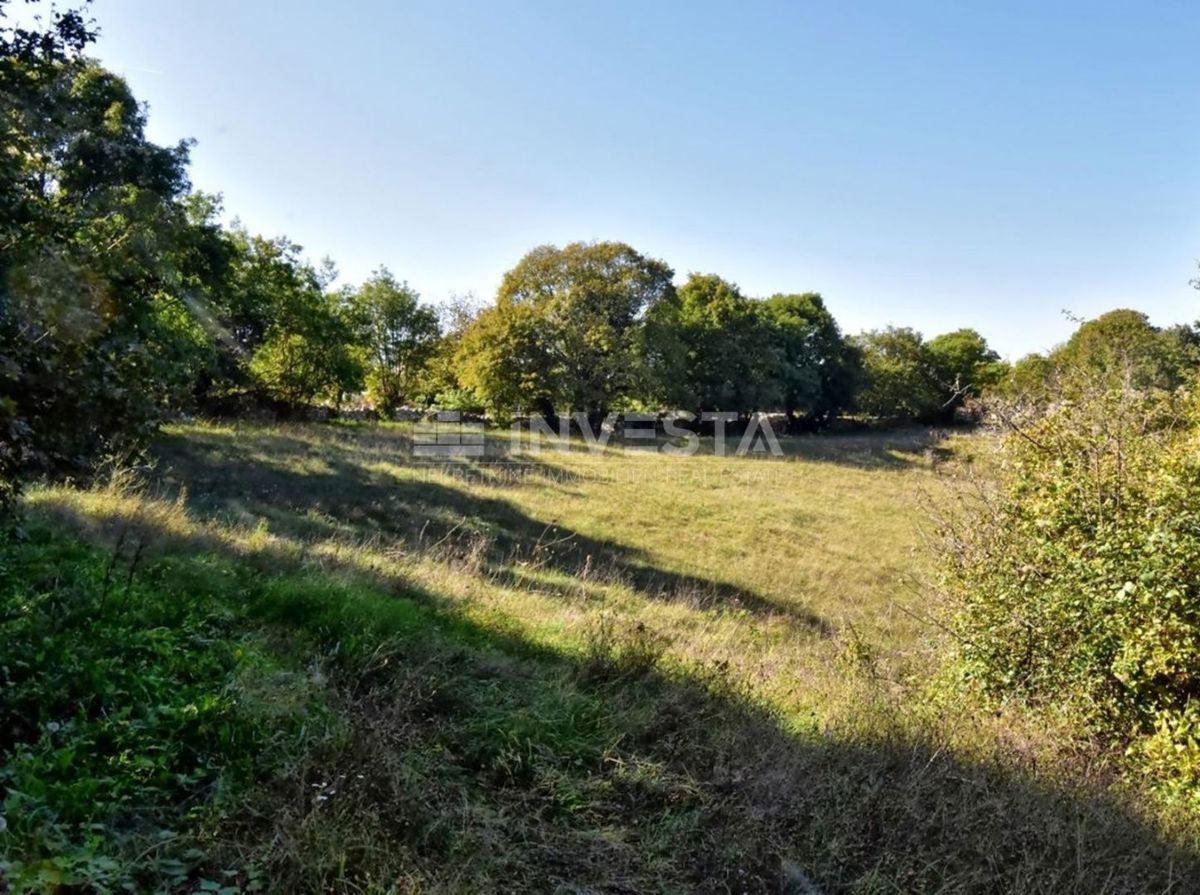 OPPORTUNITÀ!!! Ampio terreno edificabile nelle vicinanze di Dignano