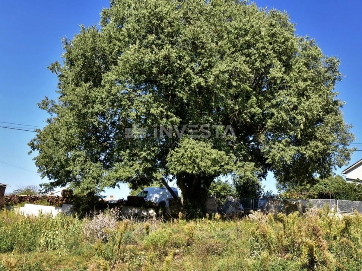 OPPORTUNITÀ!!! Ampio terreno edificabile nelle vicinanze di Dignano