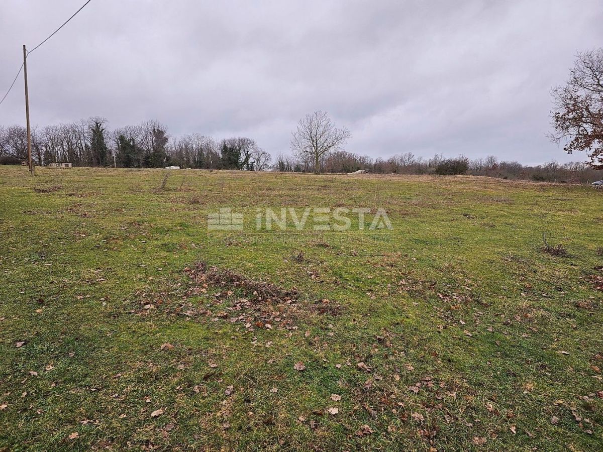 Gimino, terreno edificabile 6.186 m2, posizione eccellente