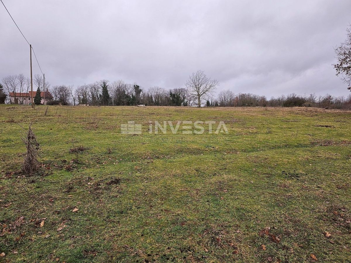 Gimino, terreno edificabile 6.186 m2, posizione eccellente