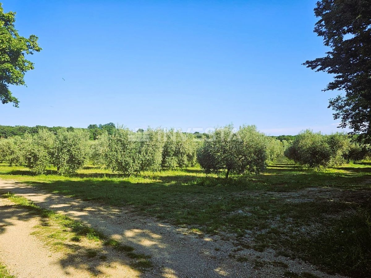 Opportunità di investimento nel sud dell'Istria – Progetto turistico