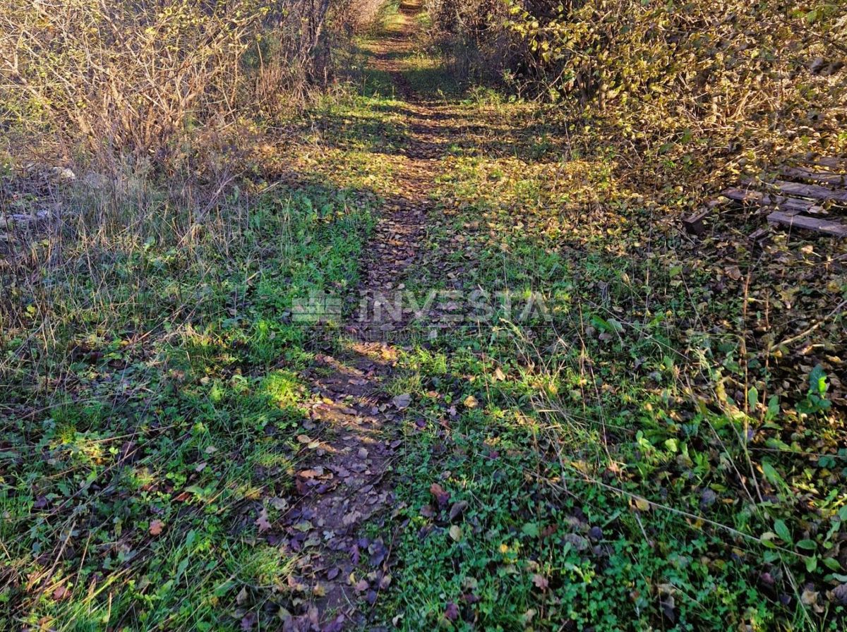 Štokovci, terreno edificabile di 1.256 m² e terreno agricolo di 568 m²