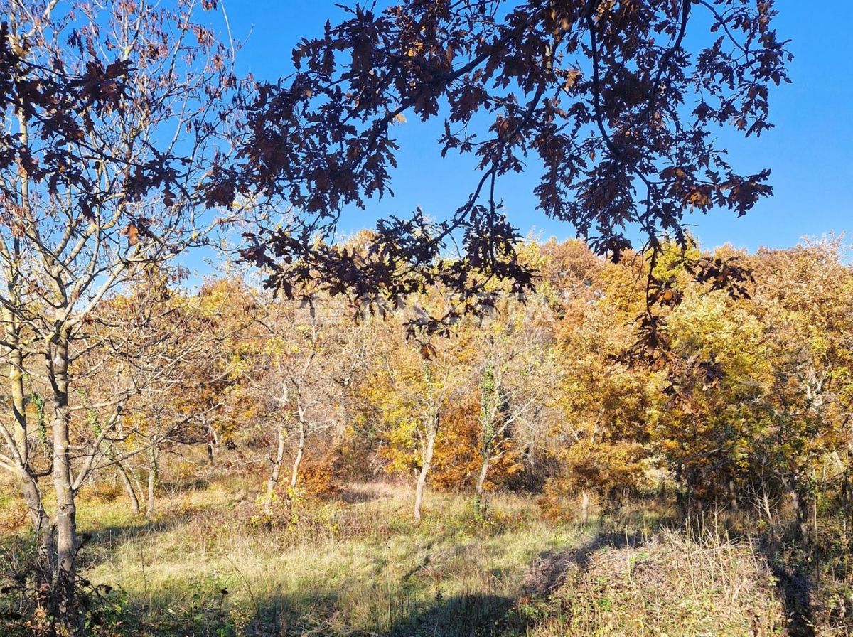 Štokovci, terreno edificabile di 1.256 m² e terreno agricolo di 568 m²