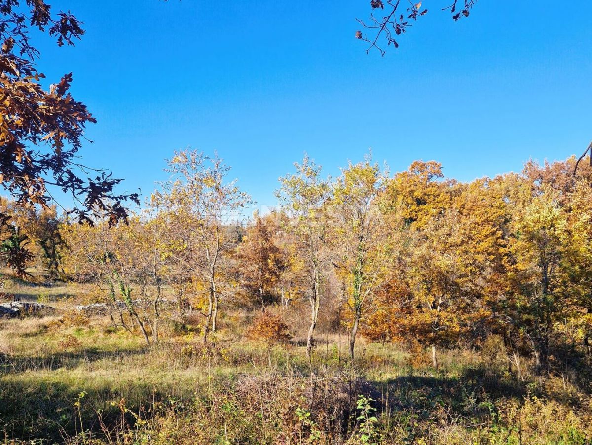 Štokovci, terreno edificabile di 1.256 m² e terreno agricolo di 568 m²