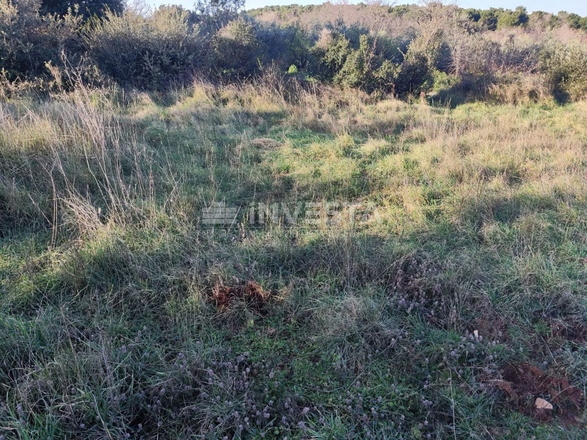 Terreno edificabile a Štinjan vicino al mare