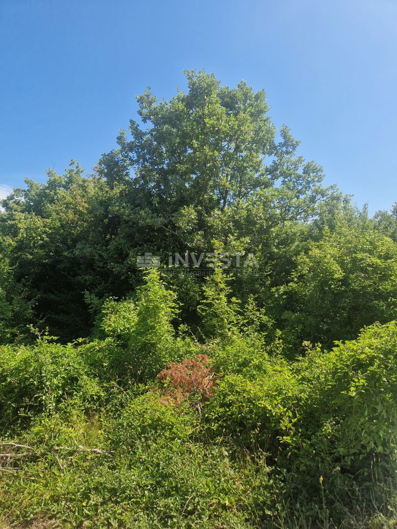 Peroj, Terreno agricolo, uso T, 1 km dal mare