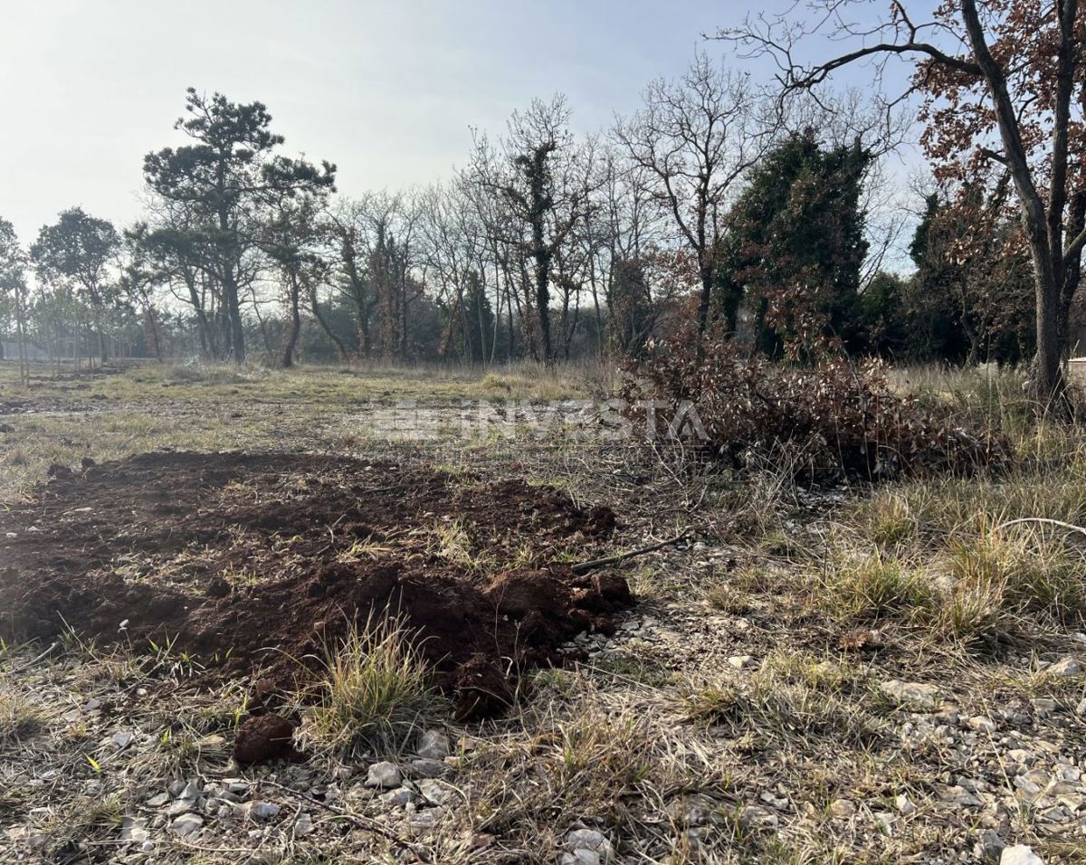Terreno edificabile in una zona tranquilla