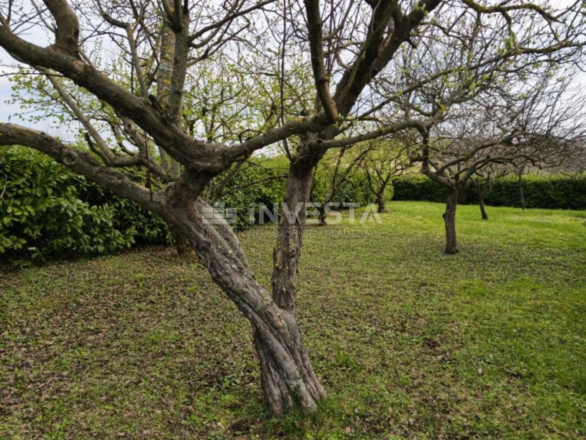Casa Lindar, Pazin - Okolica, 125m2