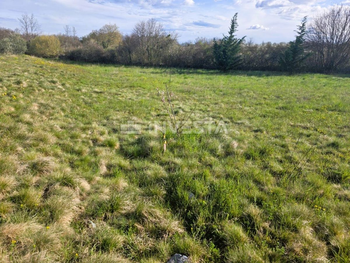 Dintorni di Žminj – terreno edificabile di 697 m² ai margini dell’abitato