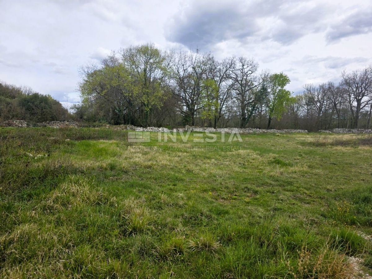 Zona di Kanfanar – terreno edificabile di 522 m², esposizione a sud