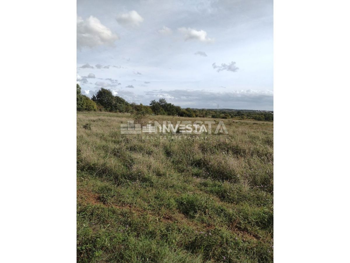 Catrame, Terreno agricolo 10.000 m2