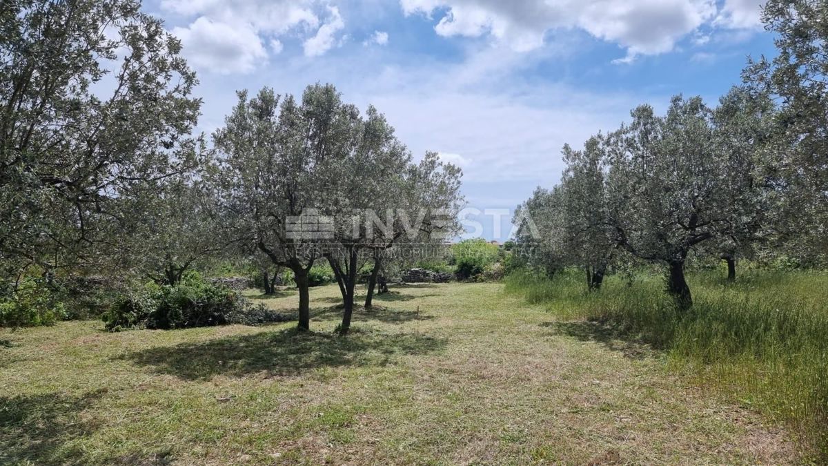 Vodnjan, Galižana, Terreno edificabile con vista mare