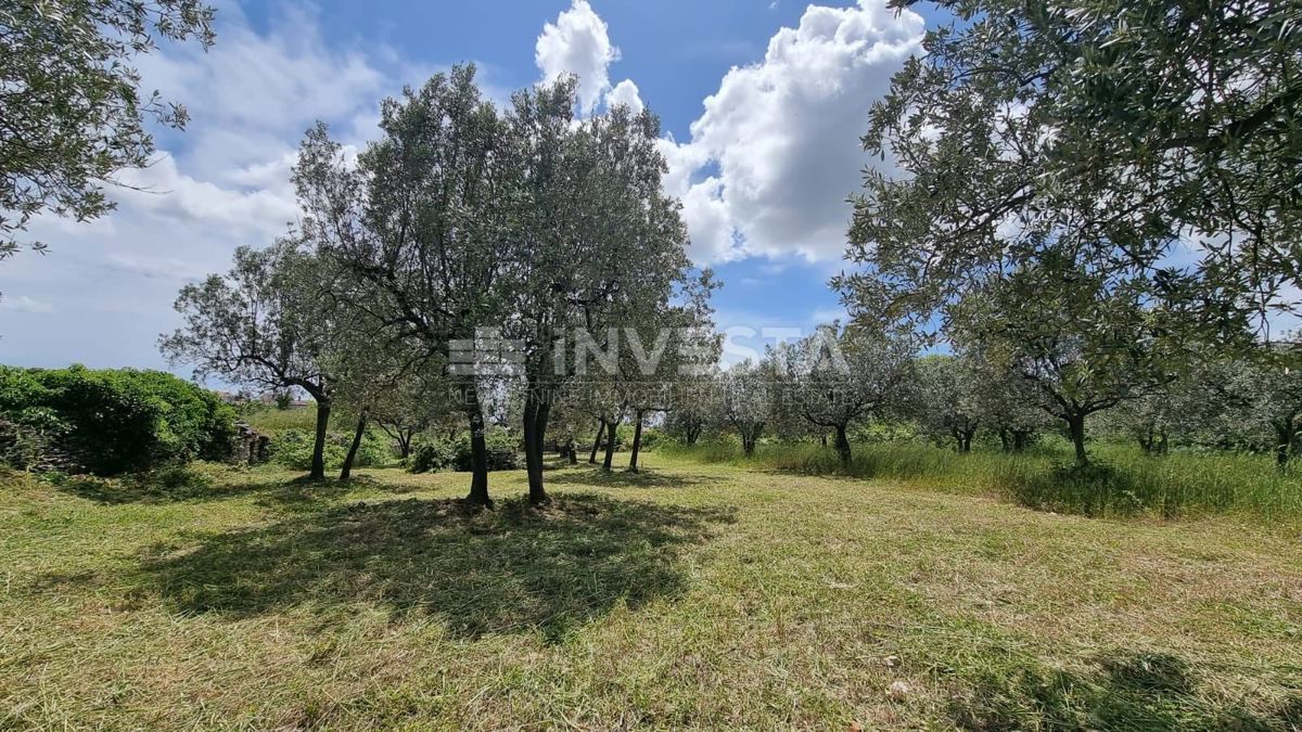 Vodnjan, Galižana, Terreno edificabile con vista mare